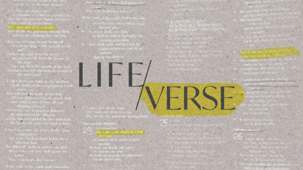 Life Verse - Galatians 6:9 Image
